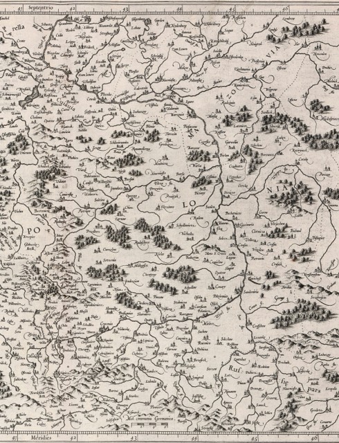 Part of an old map in sepia tones. Rivers are thin, winding lines, towns are tiny drawings of towers, forests are clusters of little trees. The Vistula runs from the bottom of the map towards the top left corner, to Toruń and Grudziądz. At the bottom right, the San flows into it.